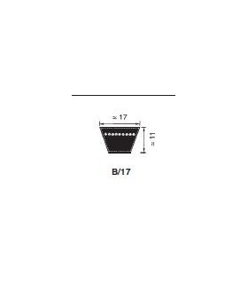 Correas Perfil B 105 - B 225
